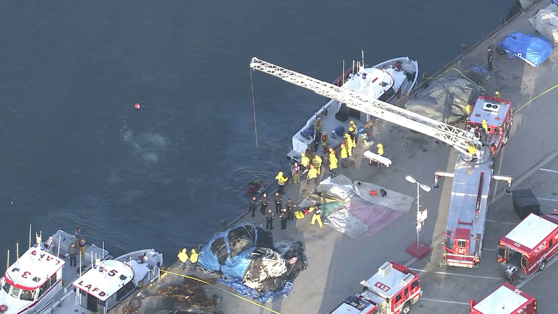 Rescuers responded to a report of a vehicle in the harbor in San Pedro on April 9, 2015. (Credit: KTLA)