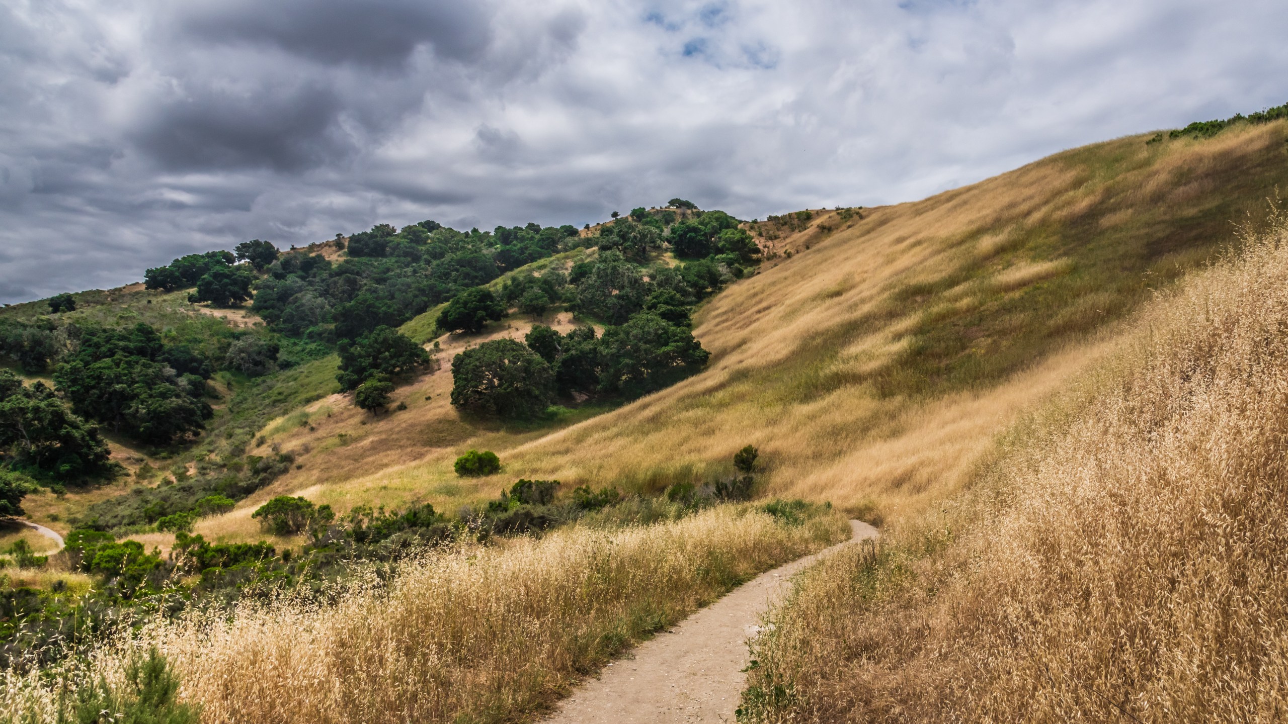 Hiking Trail in California