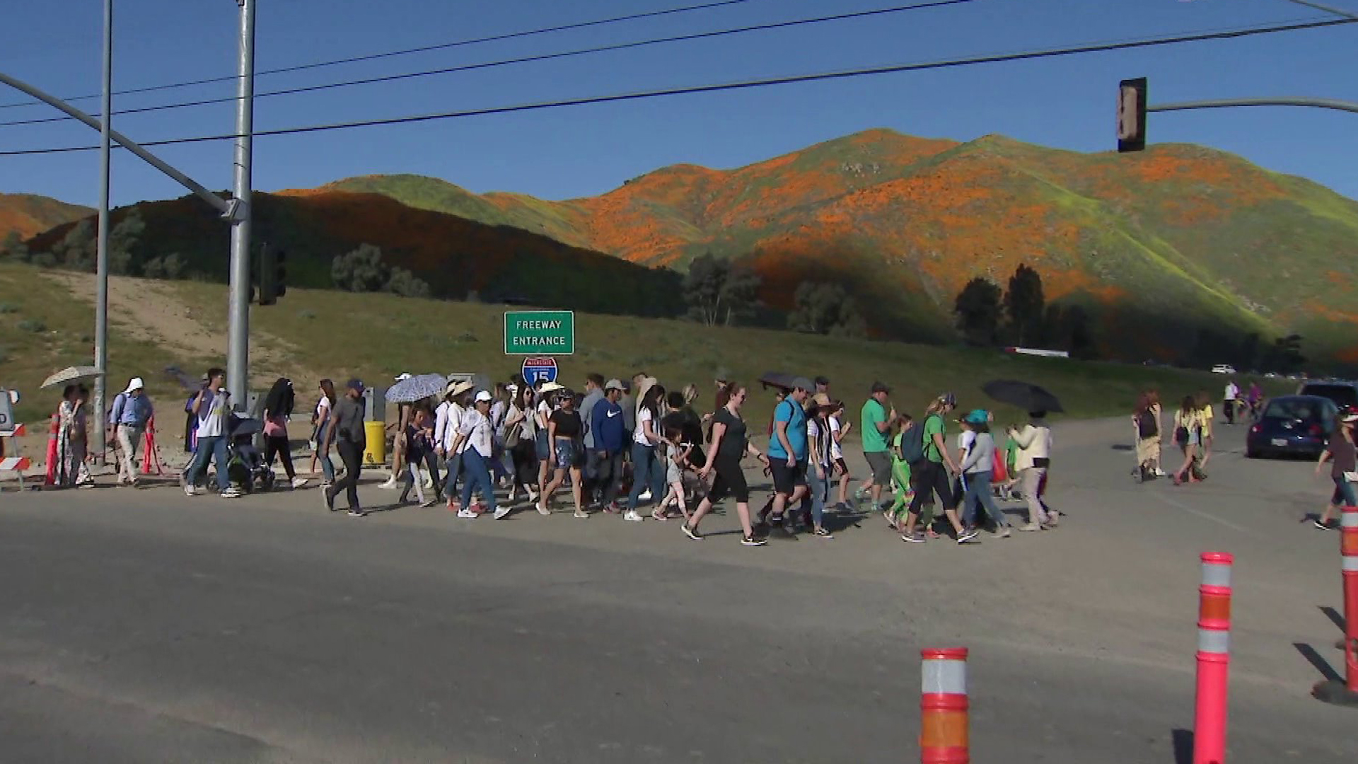 The super bloom in Walker Canyon attracted throngs of visitors to Lake Elsinore on March 17, 2019. (Credit: KTLA)