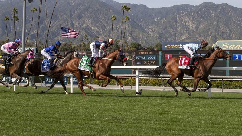 Horses run on the turf course at Santa Anita Park in March 2019. (Credit: J. Schaben / Los Angeles Times)