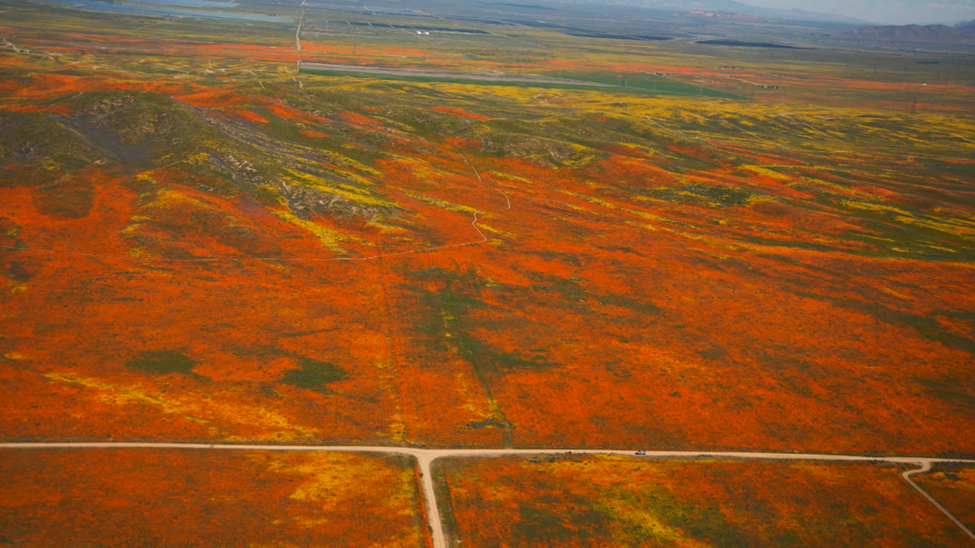 An aerial image from NASA shows a super bloom of wildflowers in the Antelope Valley on April 2, 2019.
