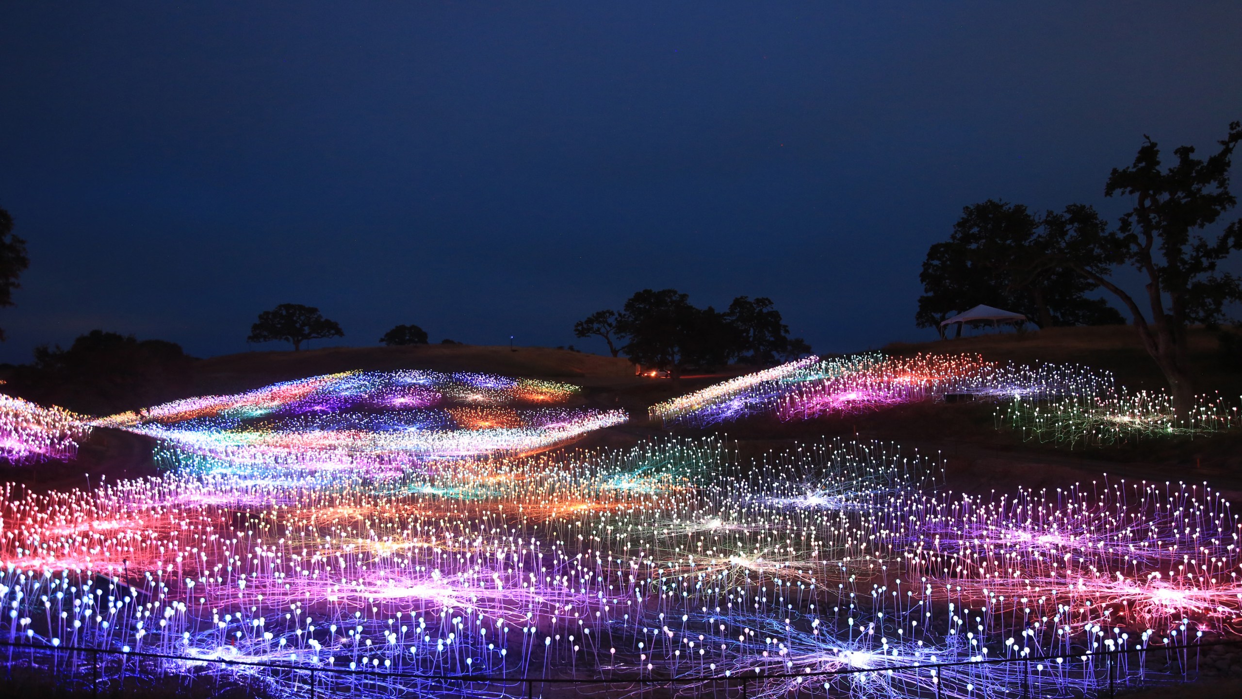Artist Bruce Munro’s light exhibit "Field of Light at Sensorio" in Paso Robles is seen in this undated photo. (Credit: Serena Munro / From Bruce Munro)