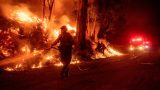 Firefighters work to control flames from a backfire during the Maria Fire near Santa Paula on Nov. 1, 2019. (Credit: JOSH EDELSON/AFP via Getty Images)