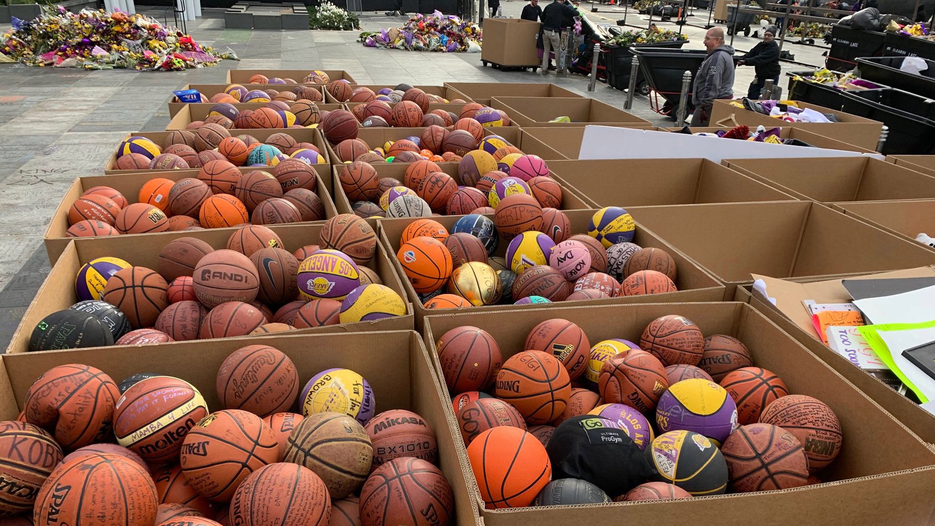 Some of the 1,353 basketballs left outside the Staples Center in Los Angeles as a tribute to Kobe Bryant. (Credit: Lee Zeidman)