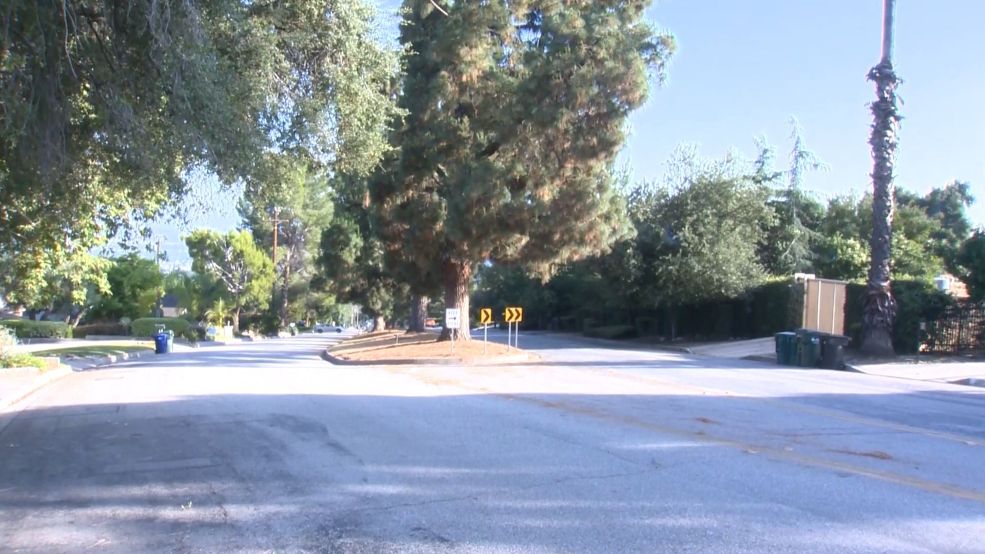 The 2000 block of North Santa Anita Avenue, as pictured on June 17, 2020. (KTLA)