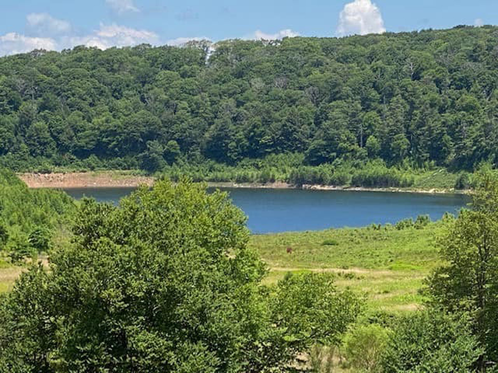 Mountain Lake in Virginia, made famous by "Dirty Dancing," is filling back up after being dry for over a decade. (Courtesy Mountain Lake Lodge)