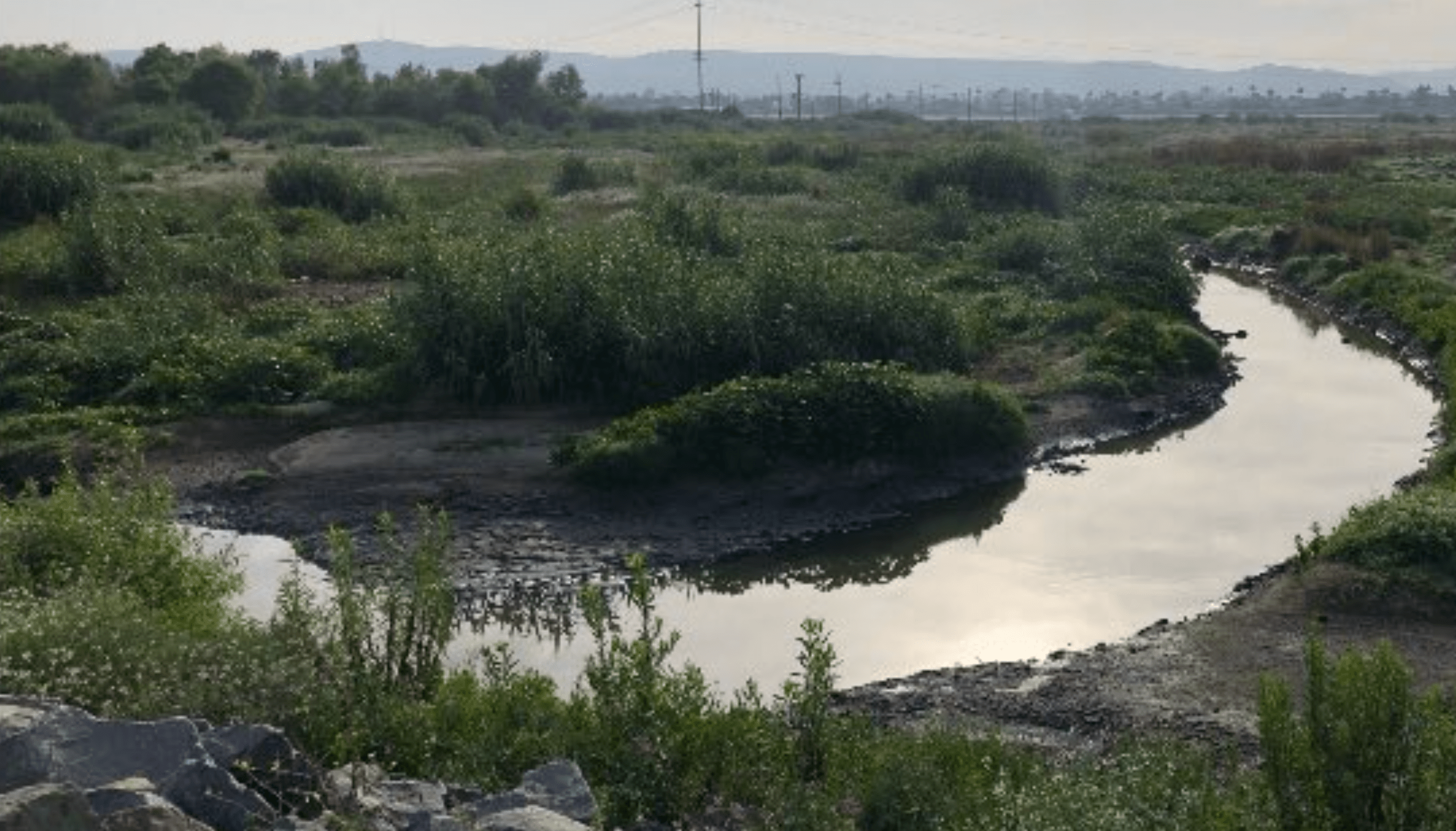 Mayor Serge Dedina tweeted this May 14, 2020 photo of the Tijuana River flow this morning at Dairy Mart Road.