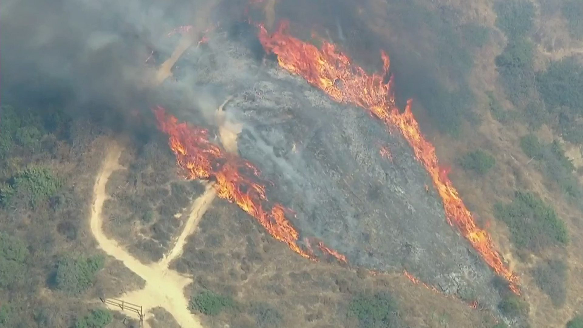 A brush fire spreads near Brand Park in Glendale on Oct. 27, 2020. (KTLA)