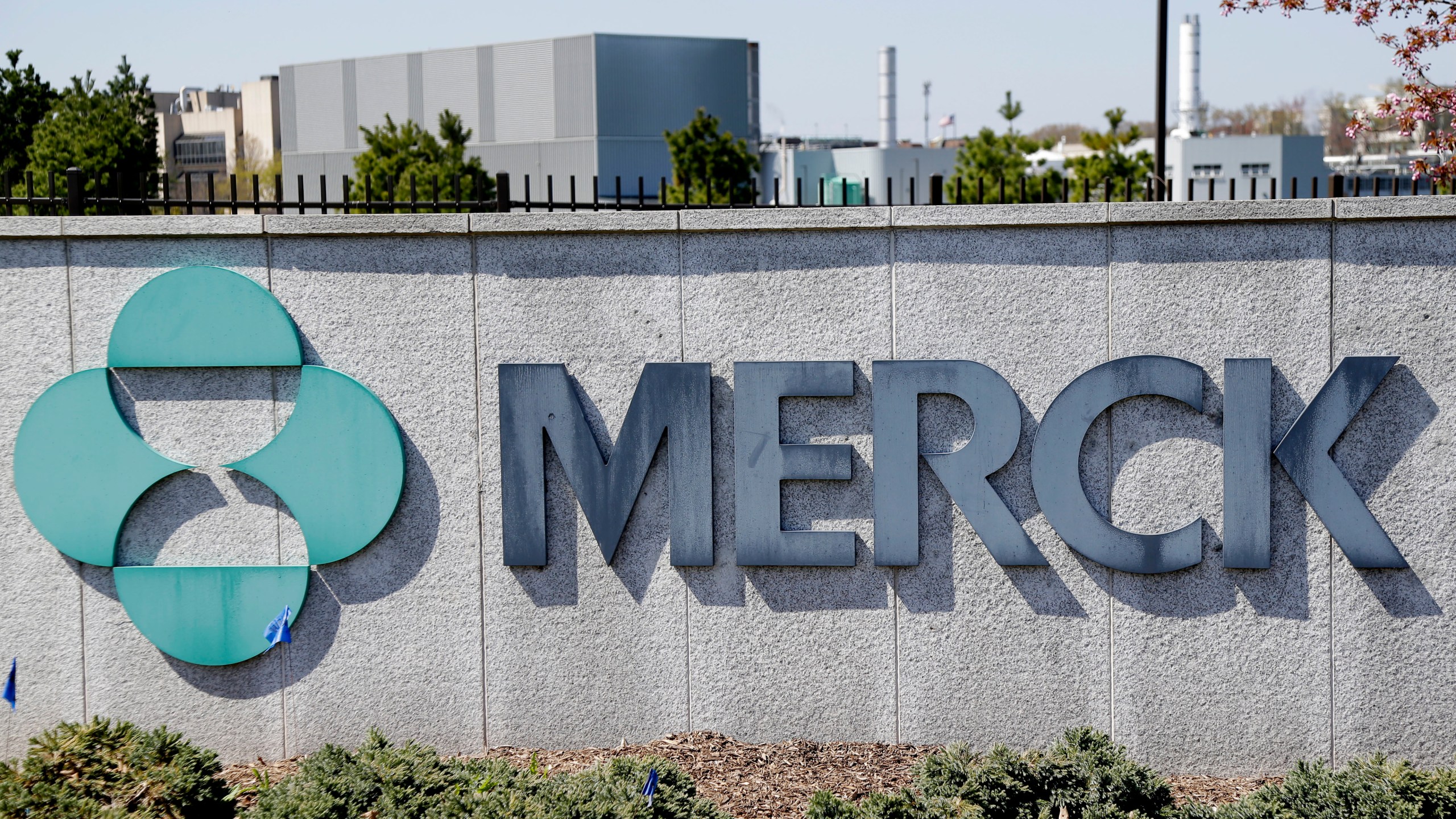 This May 1, 2018, file photo shows Merck corporate headquarters in Kenilworth, N.J. The drugmaker will stop developing two potential COVID-19 vaccines after seeing poor results in early-stage studies. The company said Monday, Jan. 25, 2021, that it will focus instead on studying two possible treatments for the virus that also have yet to be approved by regulators. (AP Photo/Seth Wenig, File)