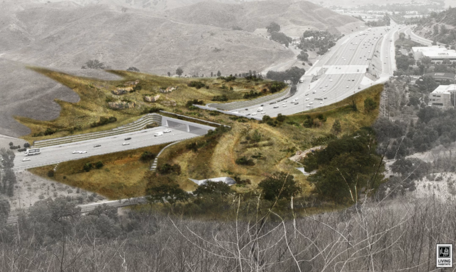 Artist rendering of a proposed $87-million mountain lion bridge spanning the 101 Freeway in Agoura Hills.(National Wildlife Federation / Living Habitats)