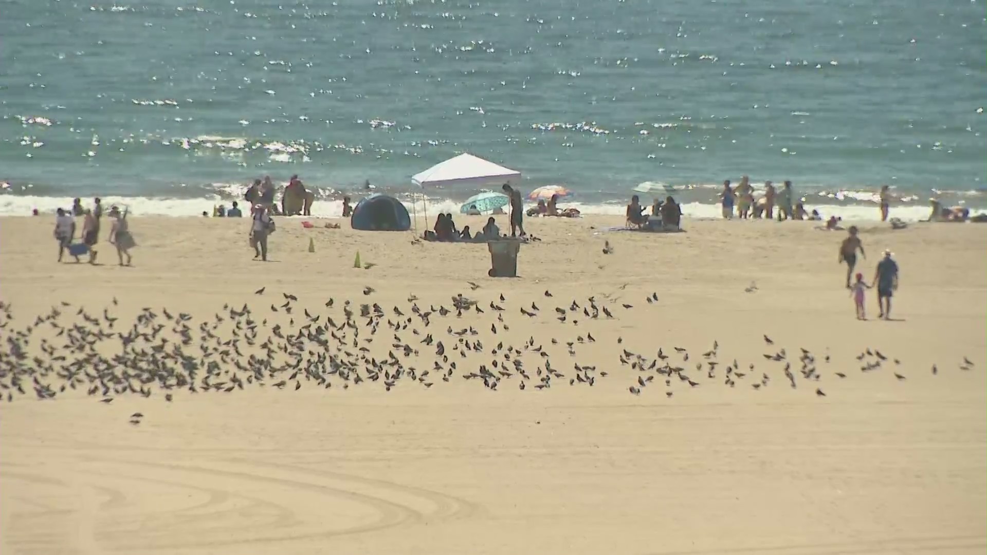Crowds are spending the hot Labor Day weekend at the nearby beaches, including Santa Monica. (KTLA)