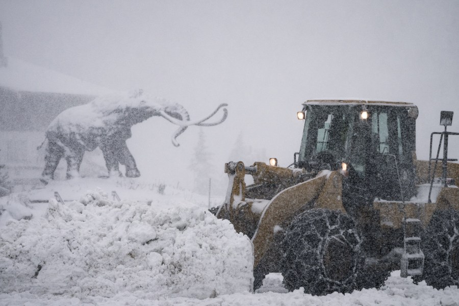 Mammoth Mountain received more than two feet of snow on Oct. 25, 2021. (MMSA/ Christian Pondella)