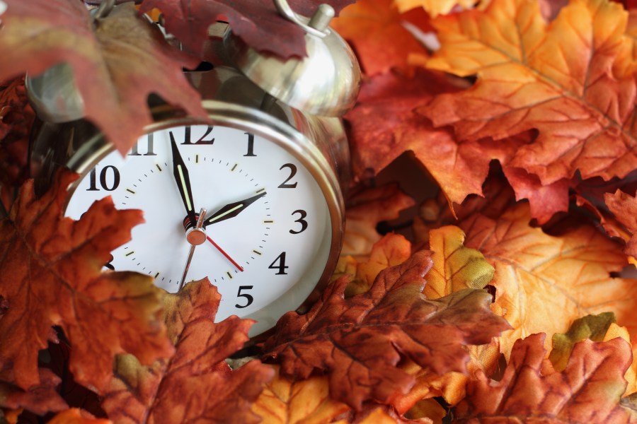 A vintage alarm clock is seen underneath colorful fallen autumn leaves. (iStock/Getty Images Plus)