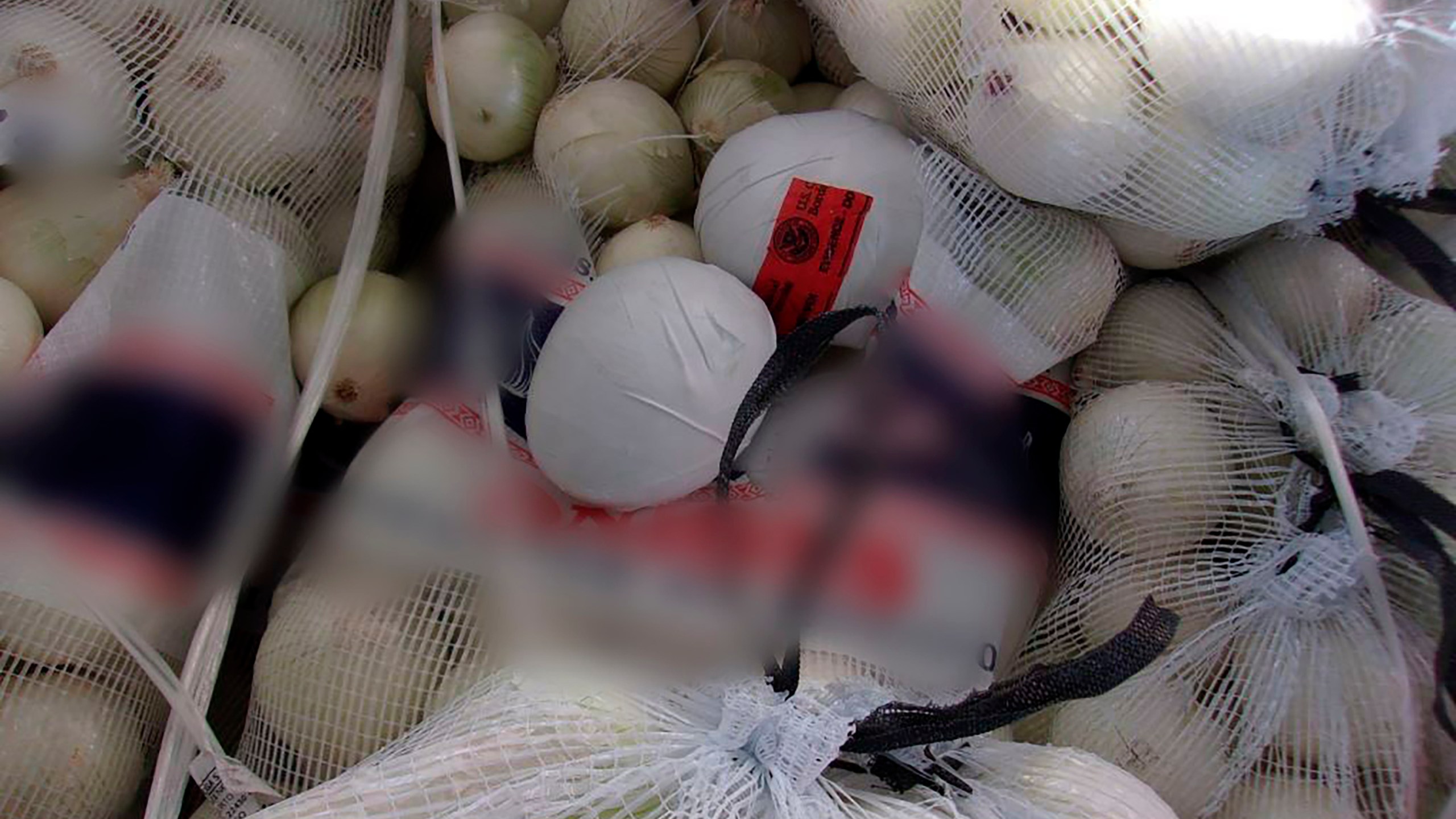 This photo provided by the U.S. Customs and Border Protection shows the Otay Mesa commercial facility where authorities discovered almost 1,200 small packages of methamphetamine hidden within a shipment of onions on Feb. 13, 2022. (U.S. Customs and Border Protection via AP)