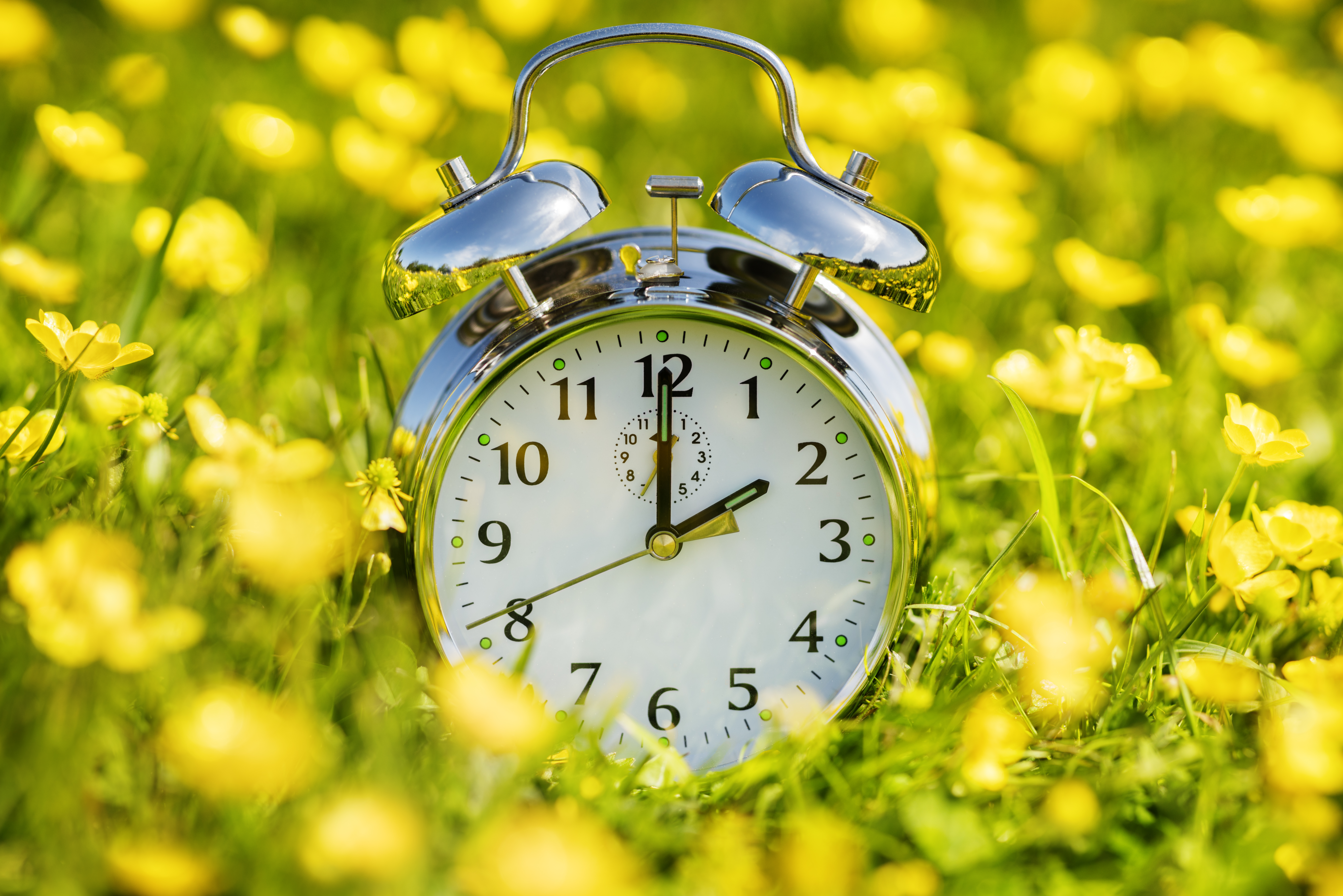 A clock is seen surrounded by flowers. (iStock/Getty Images Plus)