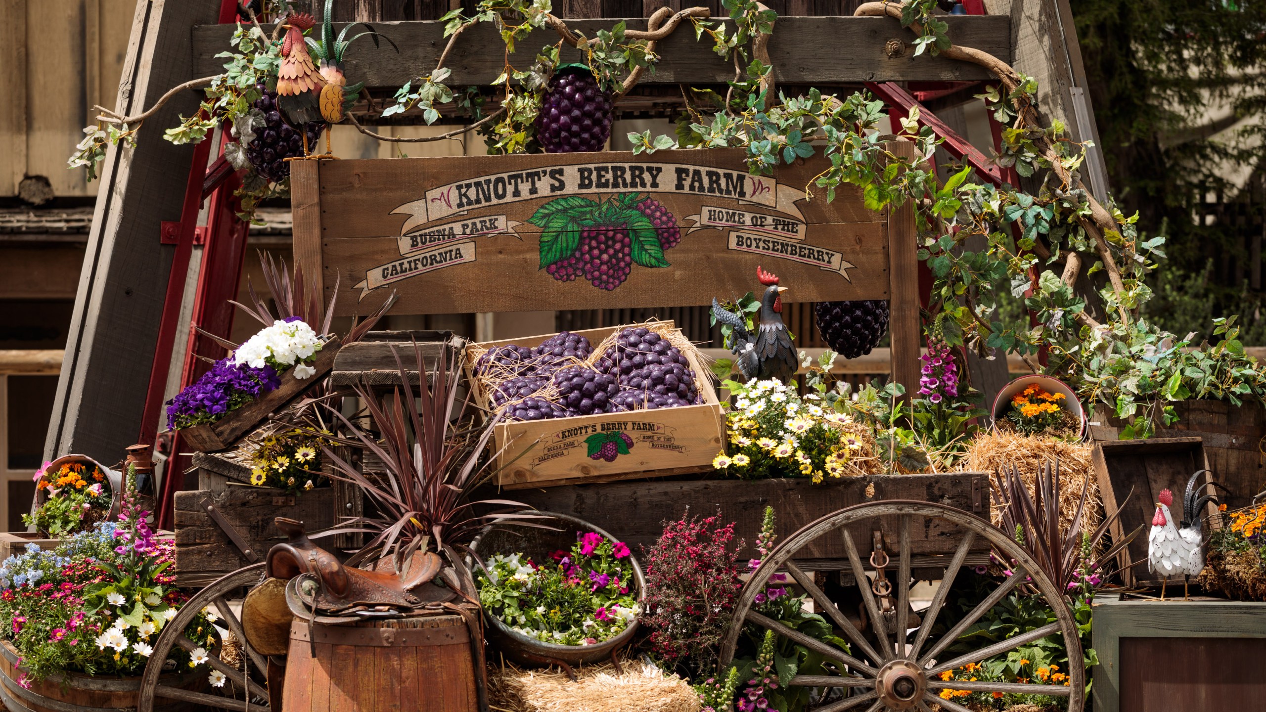 Knott's Berry Farm