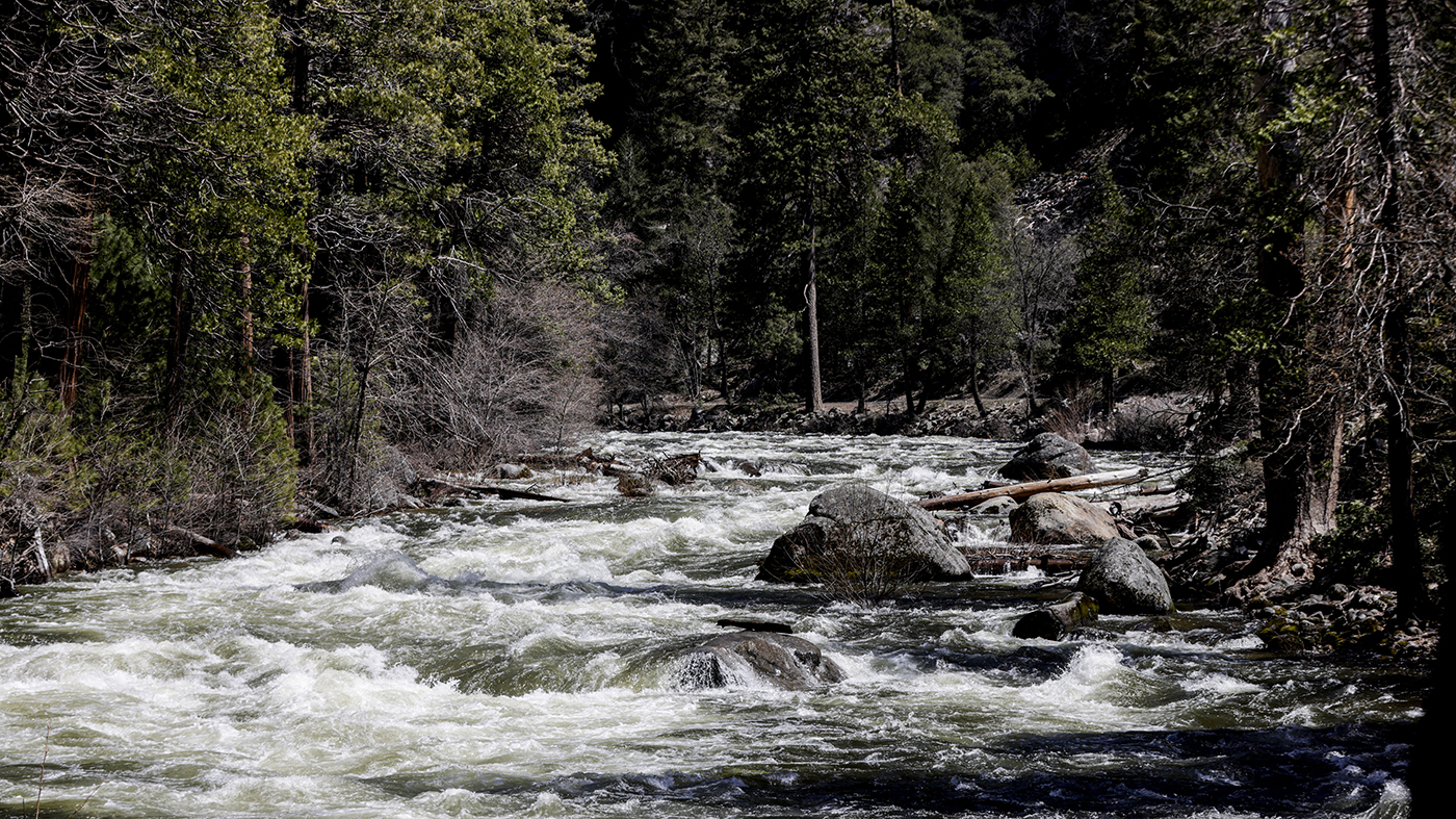 Yosemite National Park