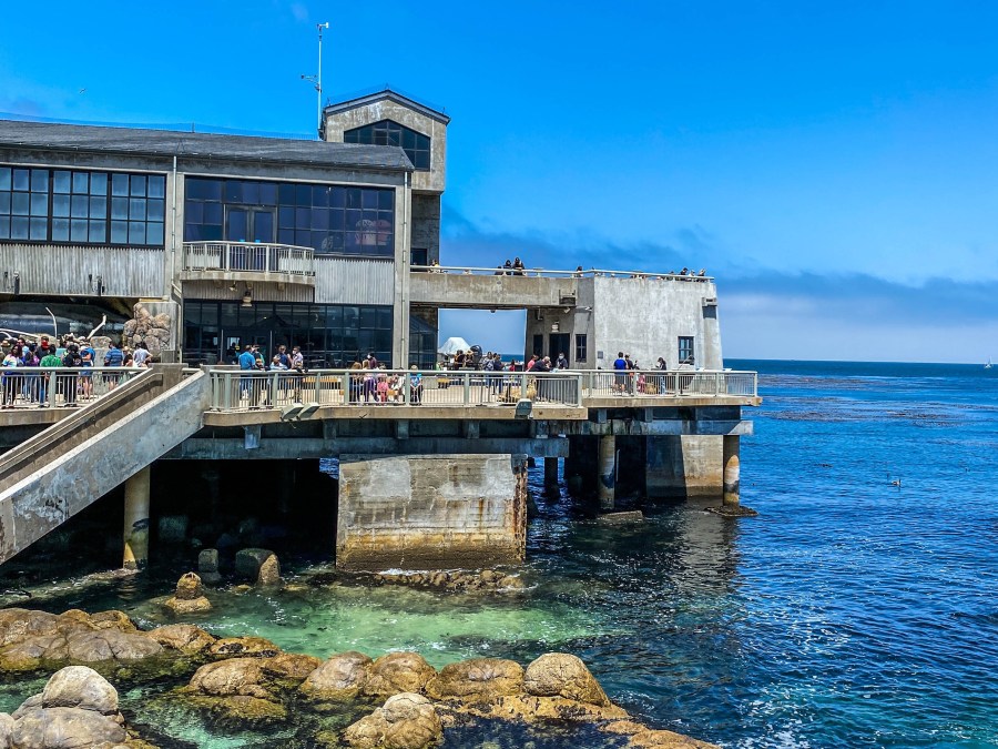 Monterey Bay Aquarium is shown in this photo from Aug. 1, 2021 (Kathy Lipps/Unsplash)