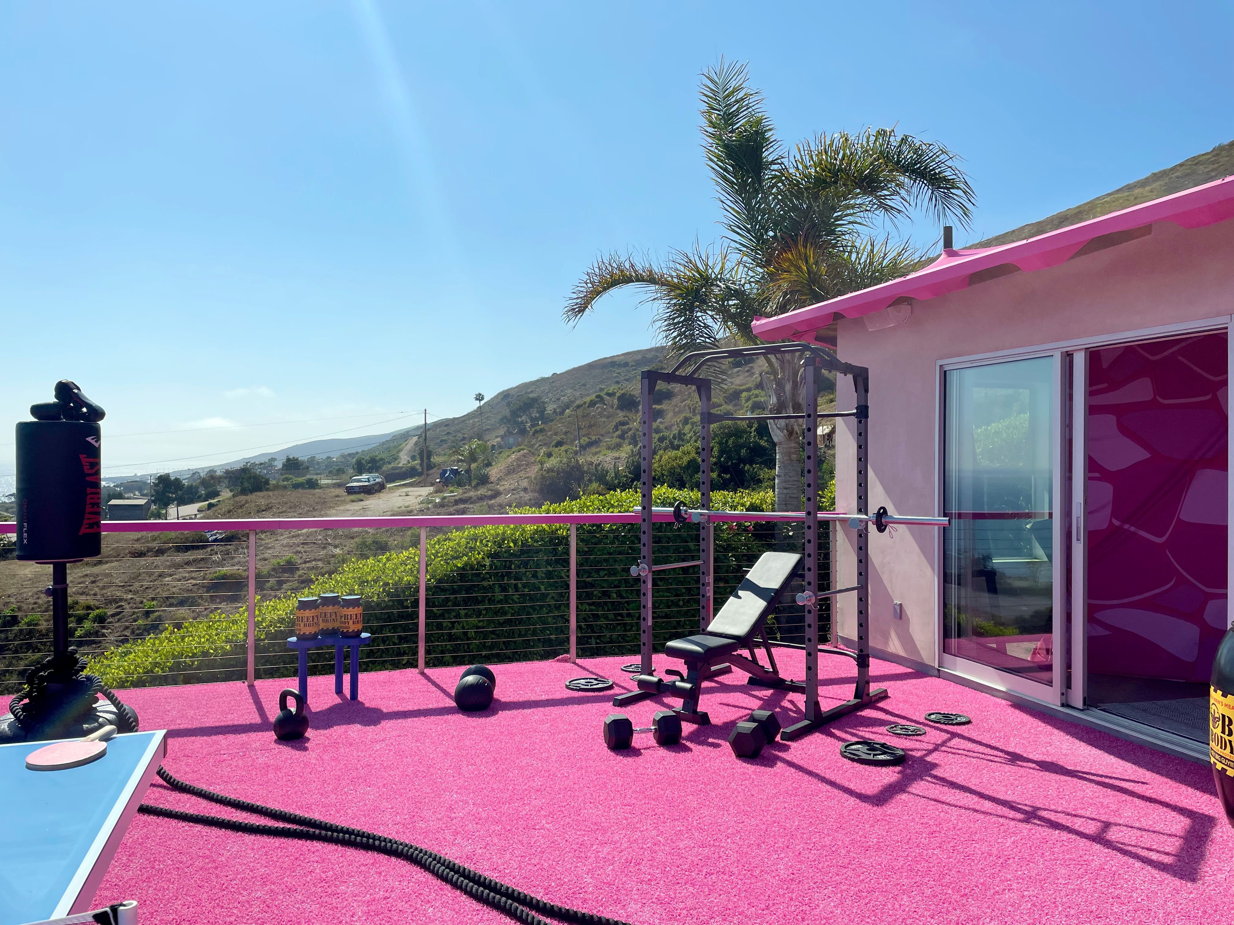 Barbie Dreamhose
