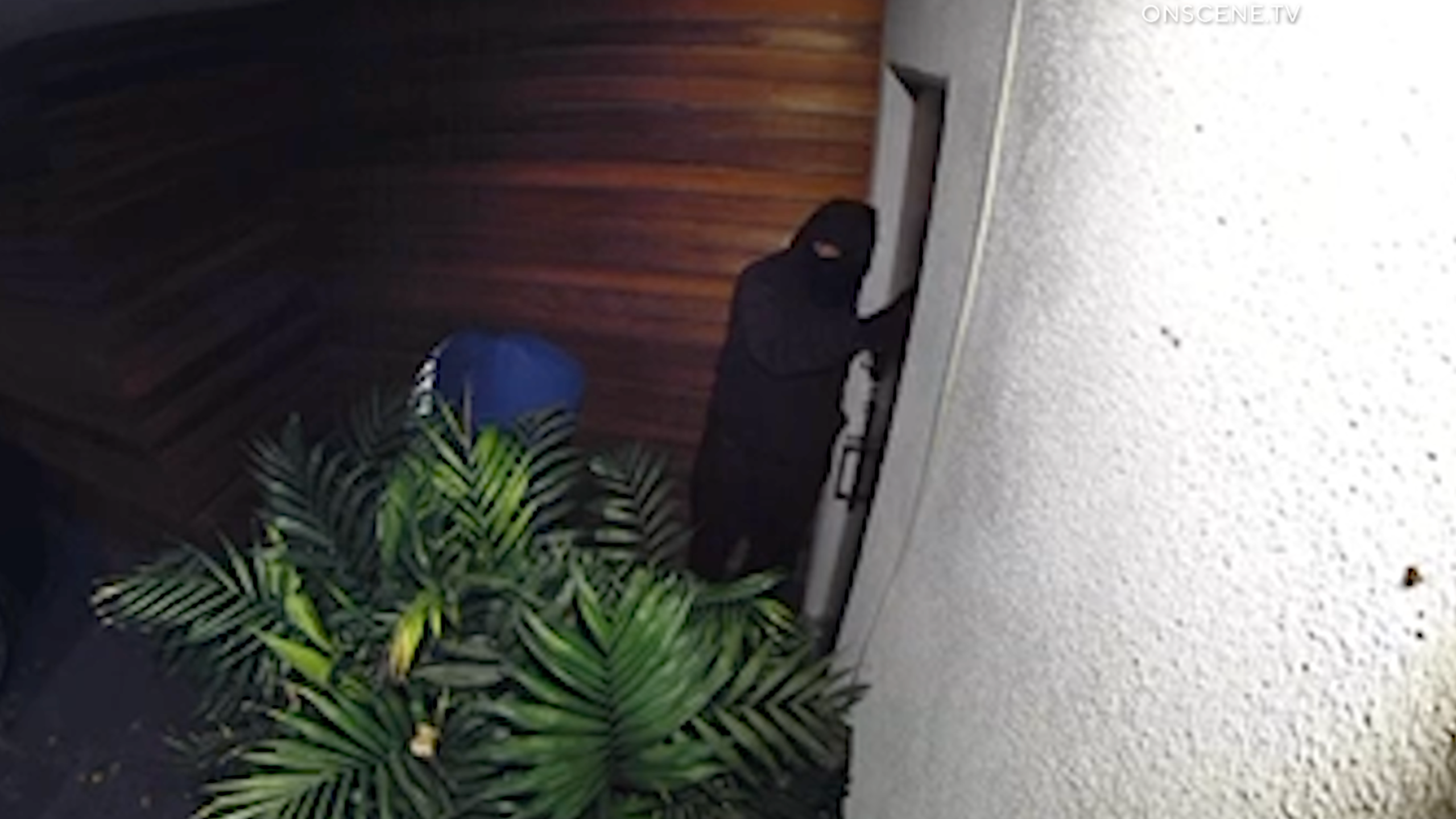 Hollywood Hills West robbery