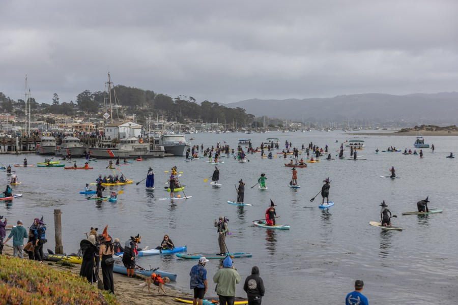 Paddleboarders and kayakers gathered in the waters of Morro Bay during the annual Witches and Warlocks Paddle.(John DeBacker)
