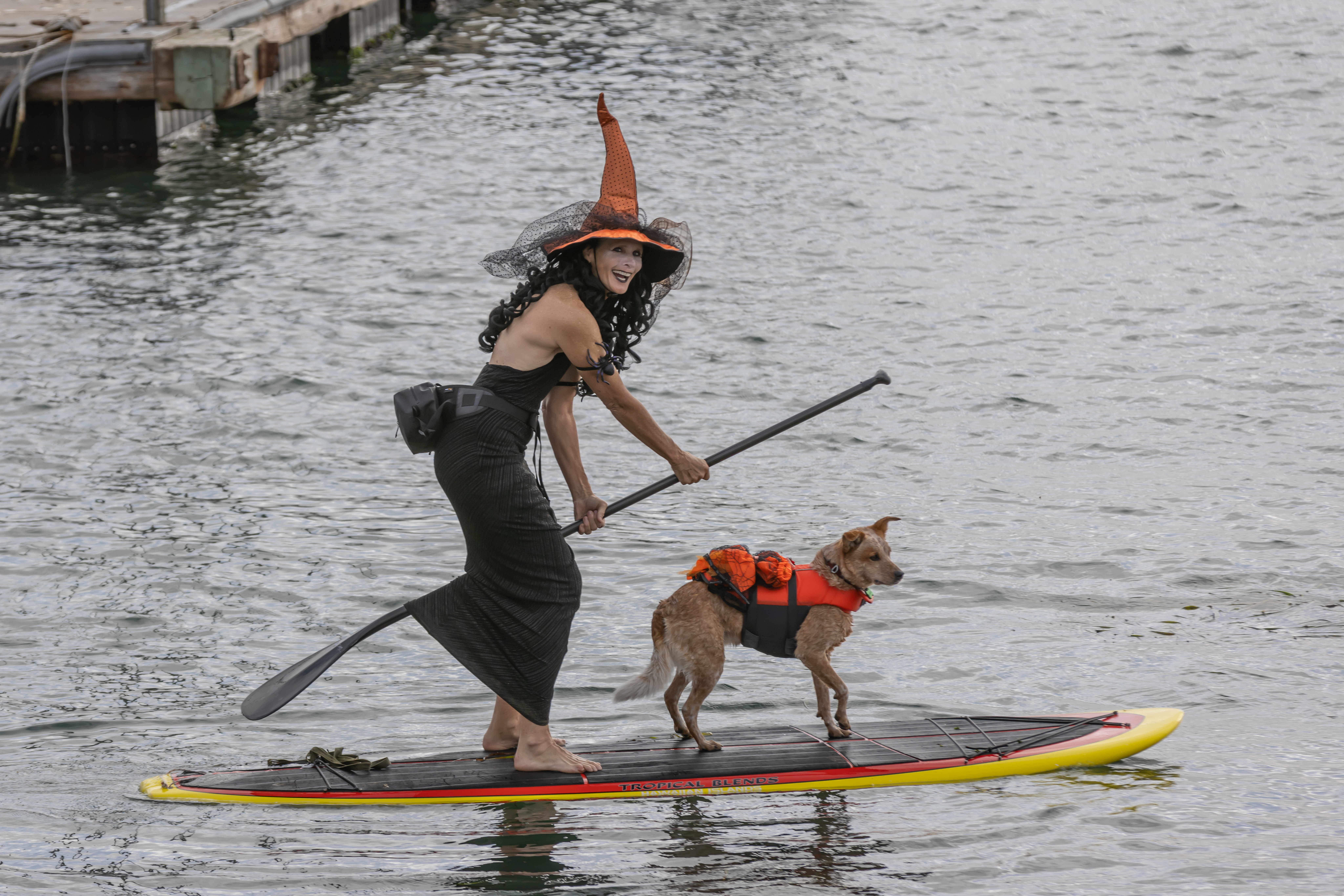 A paddleboarder dressed as a witch paddles in Morro Bay with her dog riding along. (John DeBacker)
