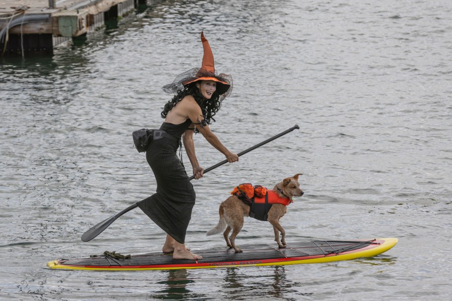 A paddleboarder dressed as a witch paddles in Morro Bay with her dog riding along. (John DeBacker)