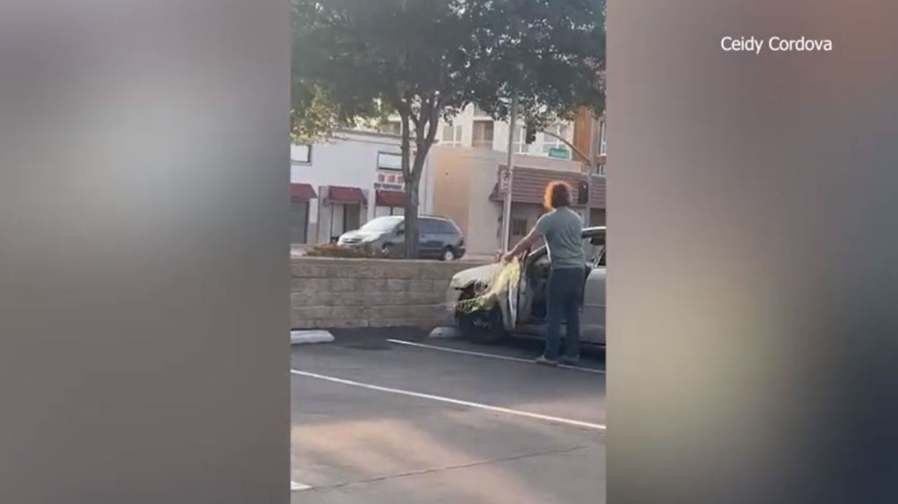 Residents in Temple City are disturbed after video appear to capture a man installing nets to catch wild parrots flying around in the community after some birds were found dead. (Ceidy Cordova)