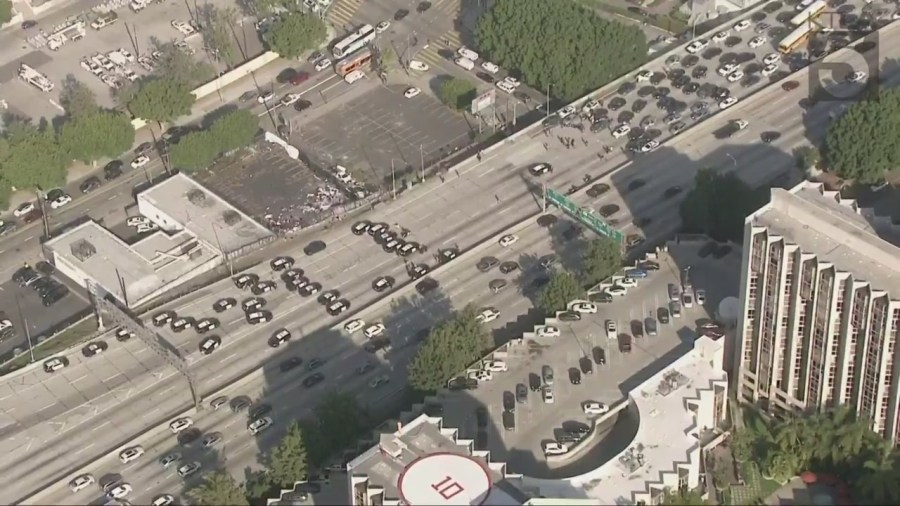 Protesters block downtown L.A. freeway