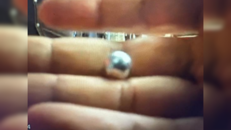 LAPD: Striking workers assaulted with ‘metal ball bearings’