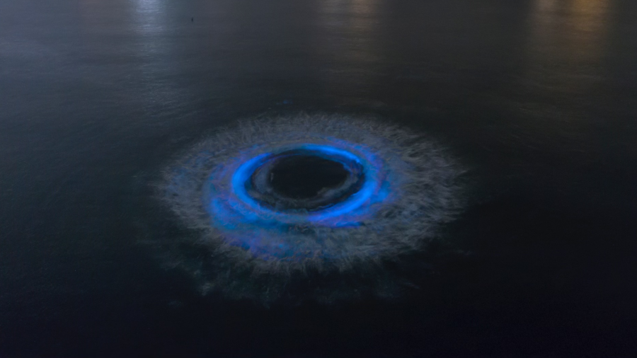 Bioluminescent water