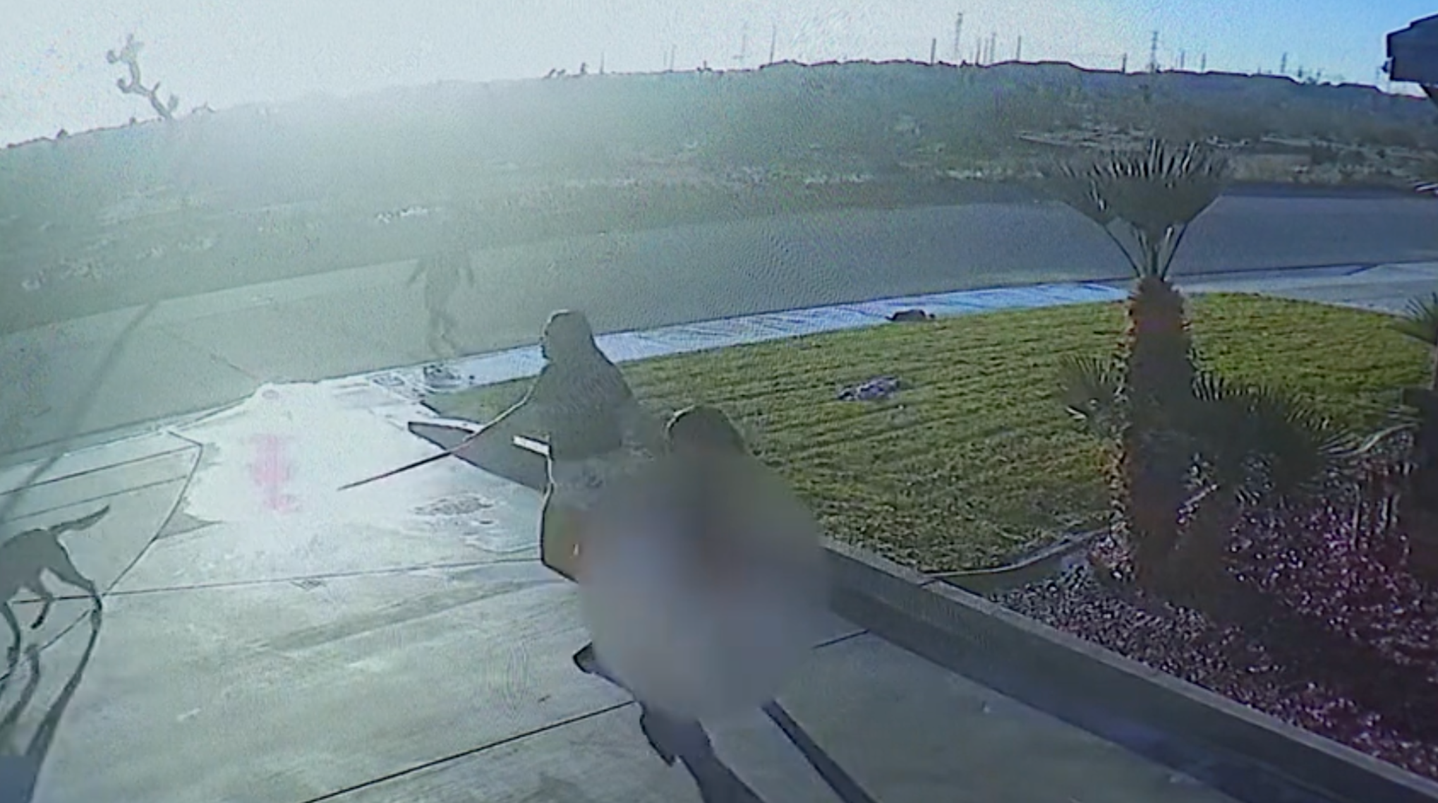 Southern California woman saves 7-year-old girl from attacking dog