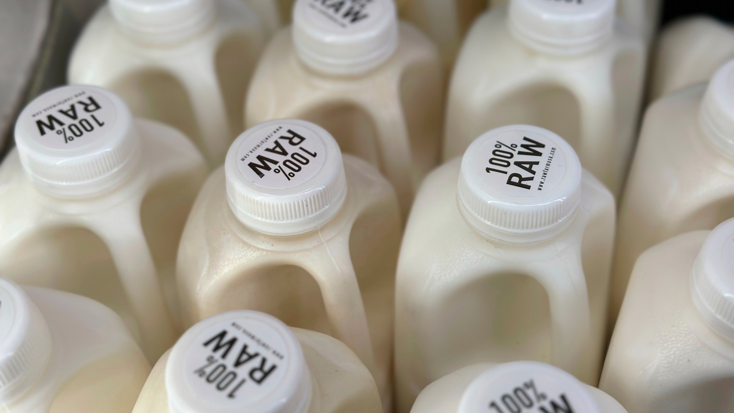 Bottles of raw milk are displayed for sale at a store in Temecula, Calif., on Wednesday, May 8, 2024. Sales of raw milk appear to be on the rise, despite an outbreak of bird flu in U.S. dairy cows. Federal officials warn about the health risks of drinking raw milk at any time, but especially during this novel outbreak. (AP Photo/JoNel Aleccia)