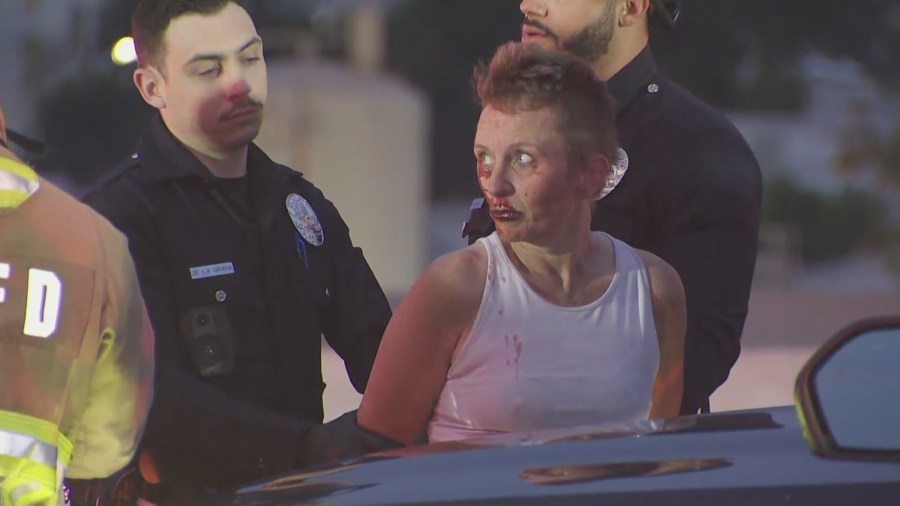 Female driver arrested in 405 Freeway rampage identified