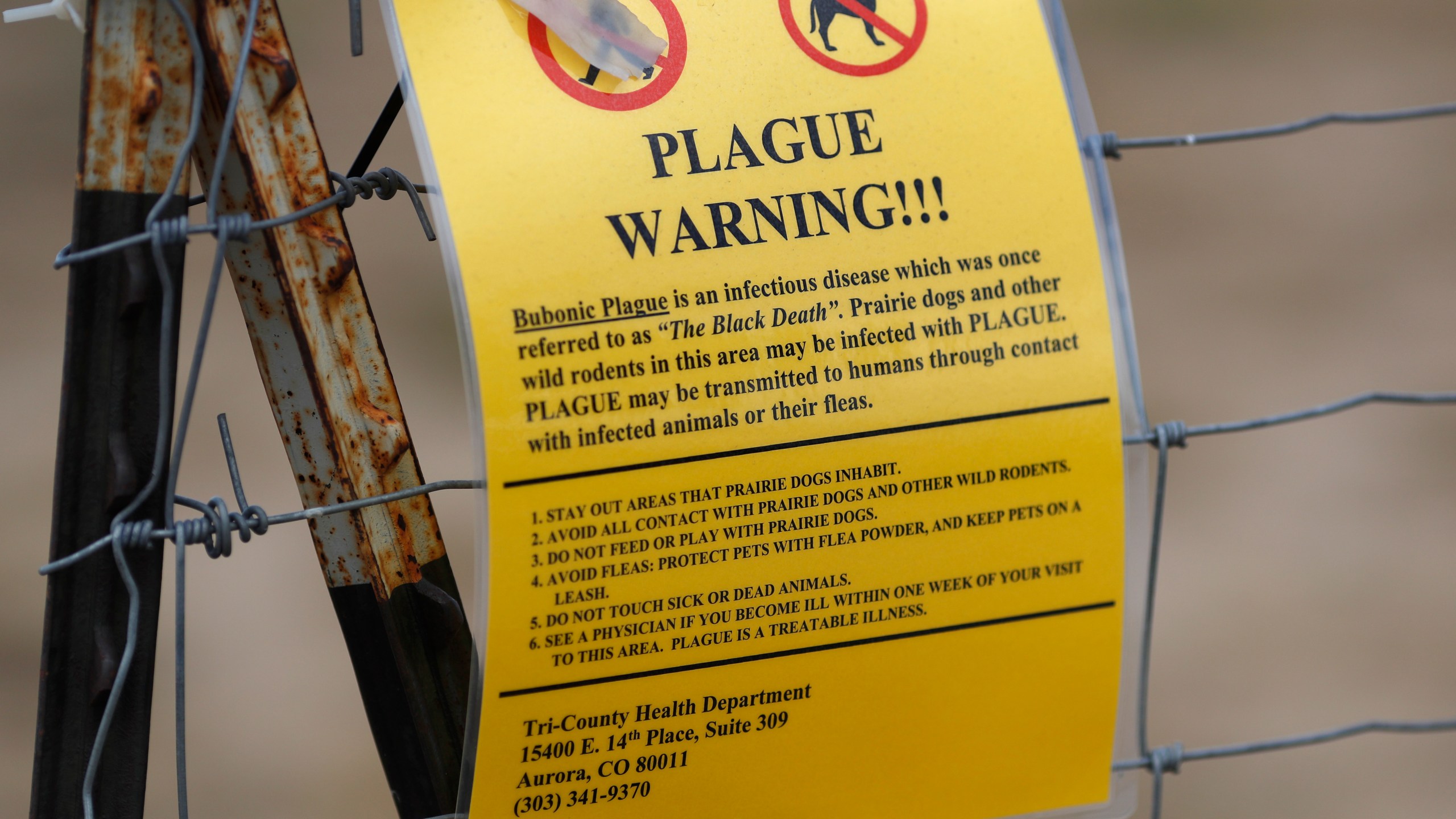 FILE - In this Aug. 10, 2019 file photo, a sign warning of bubonic plague is displayed at a parking lot near the Rocky Mountain Arsenal Wildlife Refuge in Commerce City, Colo. The bacteria which causes the disease is transmitted through the bites of infected fleas, which spread it between rodents, pets and humans. (AP Photo/David Zalubowski)