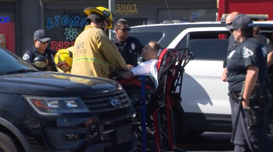 Hollywood wrong-way driver