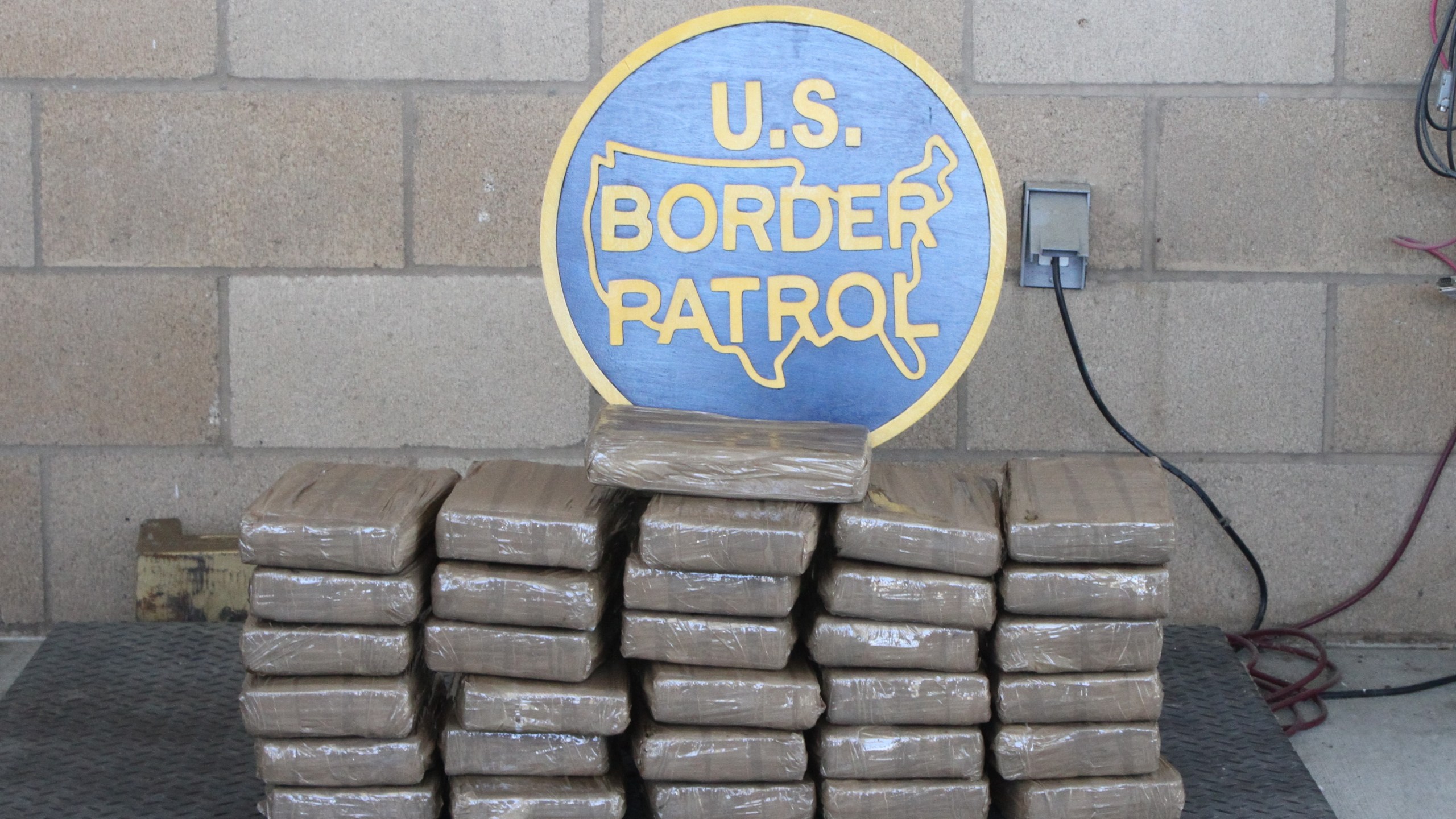 Cocaine seizure