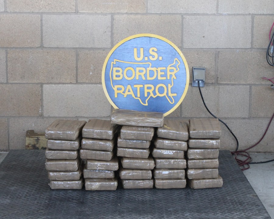 Cocaine seizure
