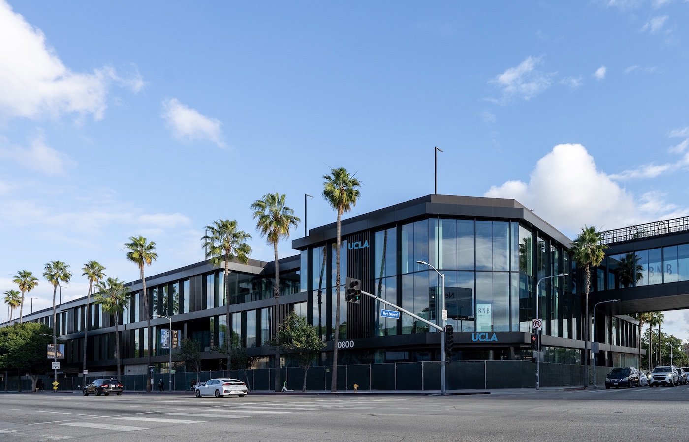 California Institute for Immunology and Immunotherapy