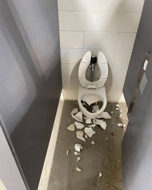 Great Park vandalism