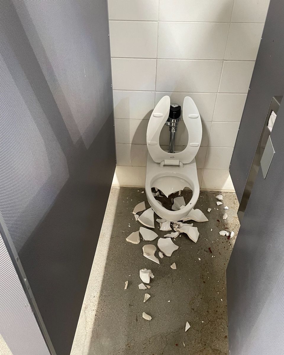 Great Park vandalism