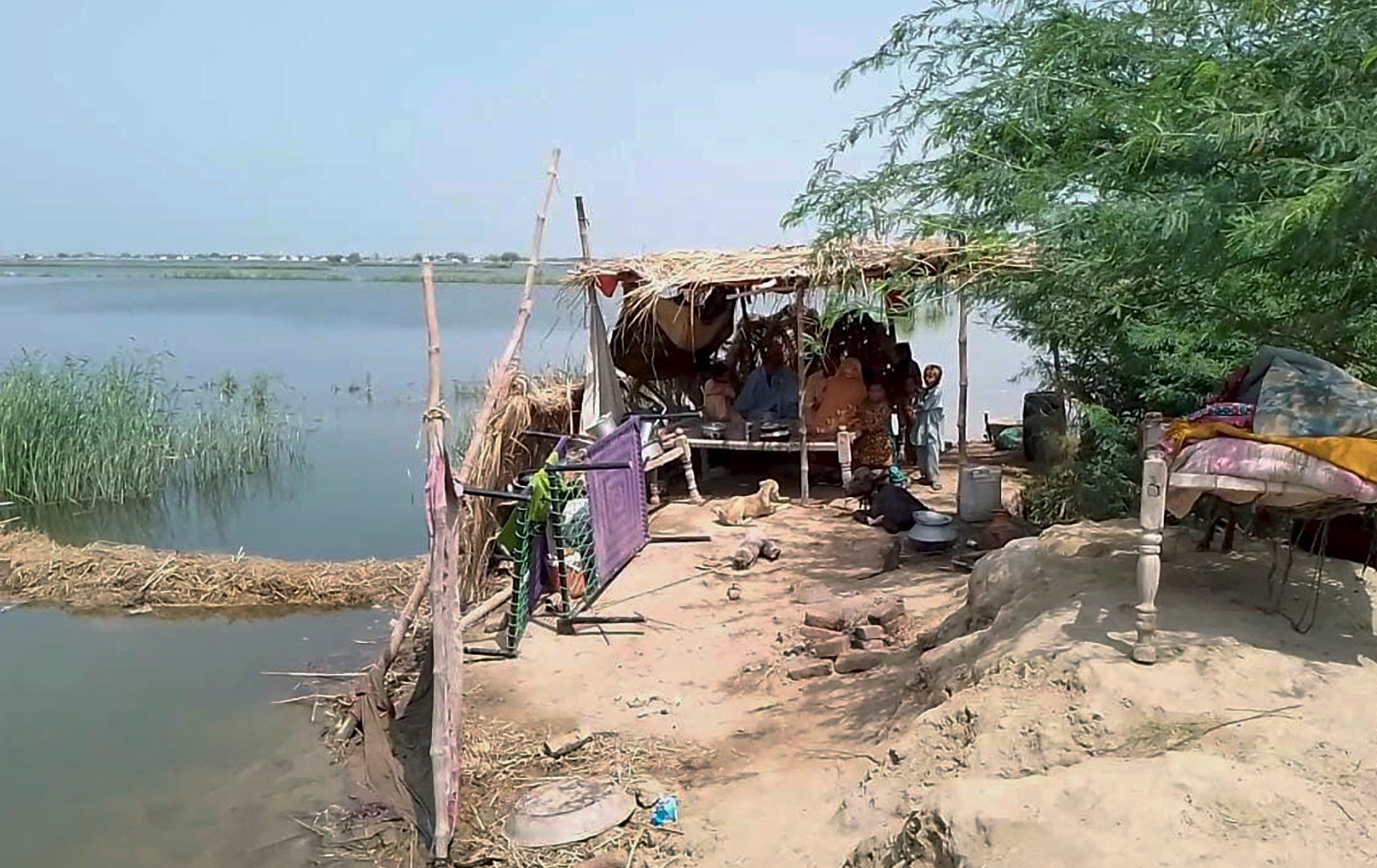 A family take refuge on high place after flooding their house and area caused by heavy monsoon rains near Sohbat Pur, an area of Pakistan's southwestern Baluchistan province, Monday, Aug. 19, 2024. (AP Photo)