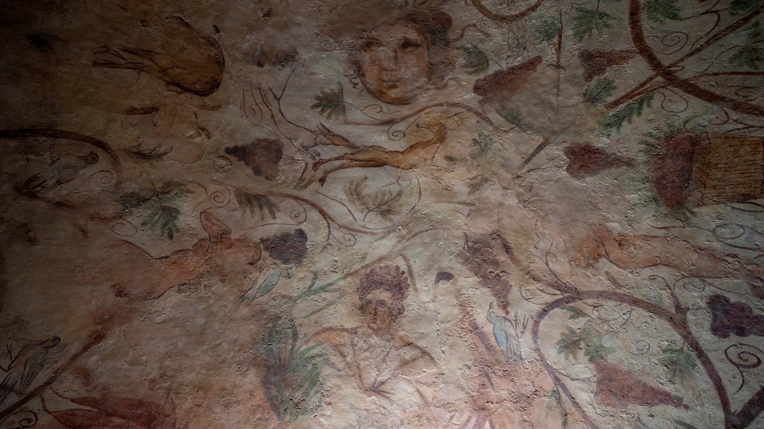 A view of the archeological tomb site in Ashkelon, Israel, Tuesday, Aug. 27, 2024. The tomb with wall paintings depicting Greek mythological figures is at least 1,700 years old said the Israeli Antiquities Authority, whose workers are restoring the site. (AP Photo/Ohad Zwigenberg)