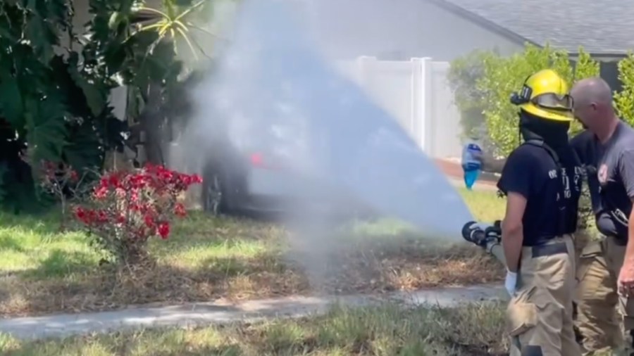 Buena Park bee crash