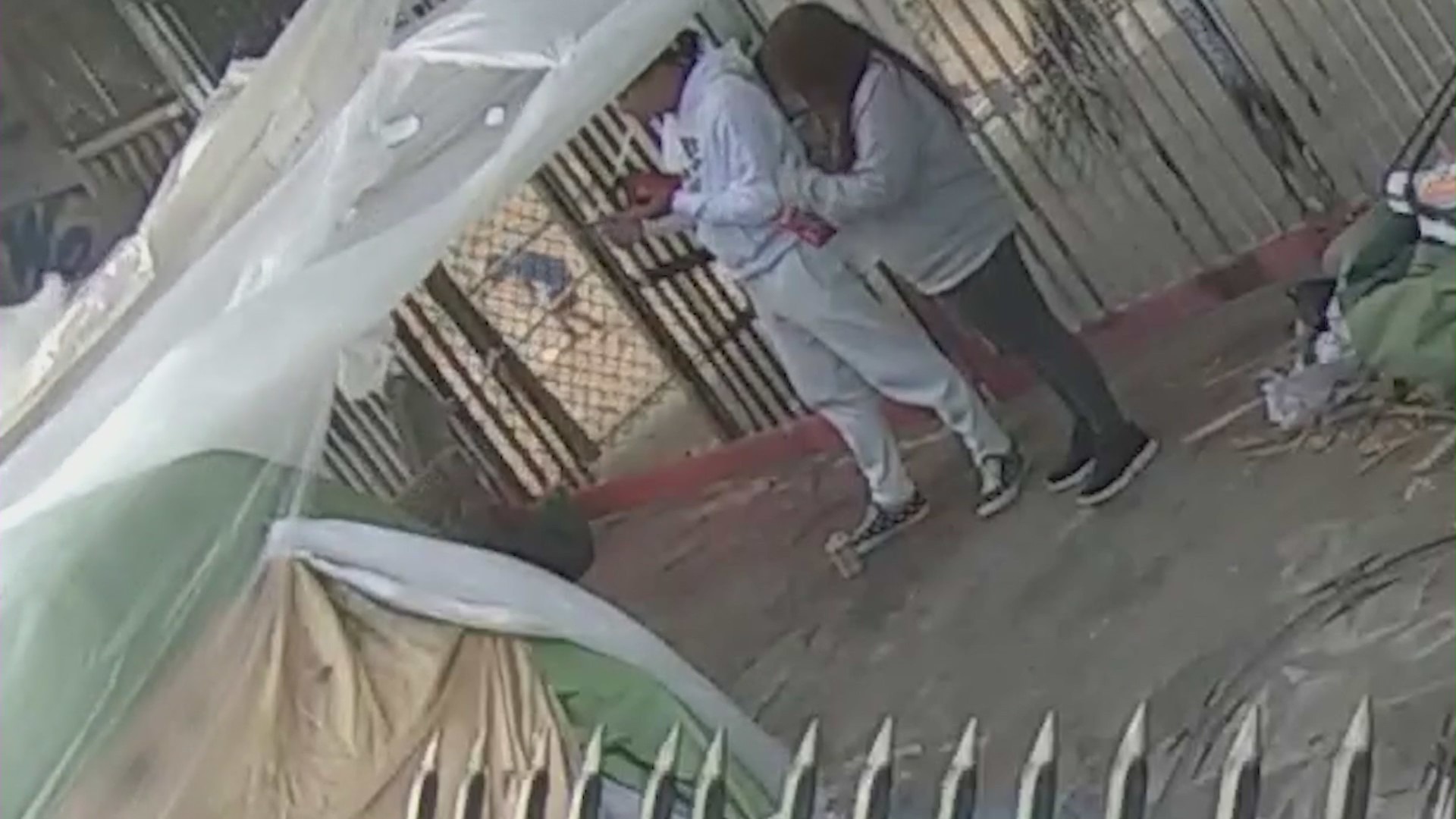 Echo Park alley crime