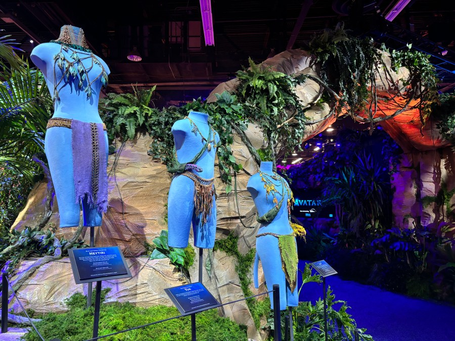 World of 'Avatar' at D23