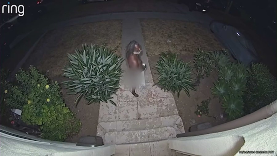 Mid-Wilshire naked man