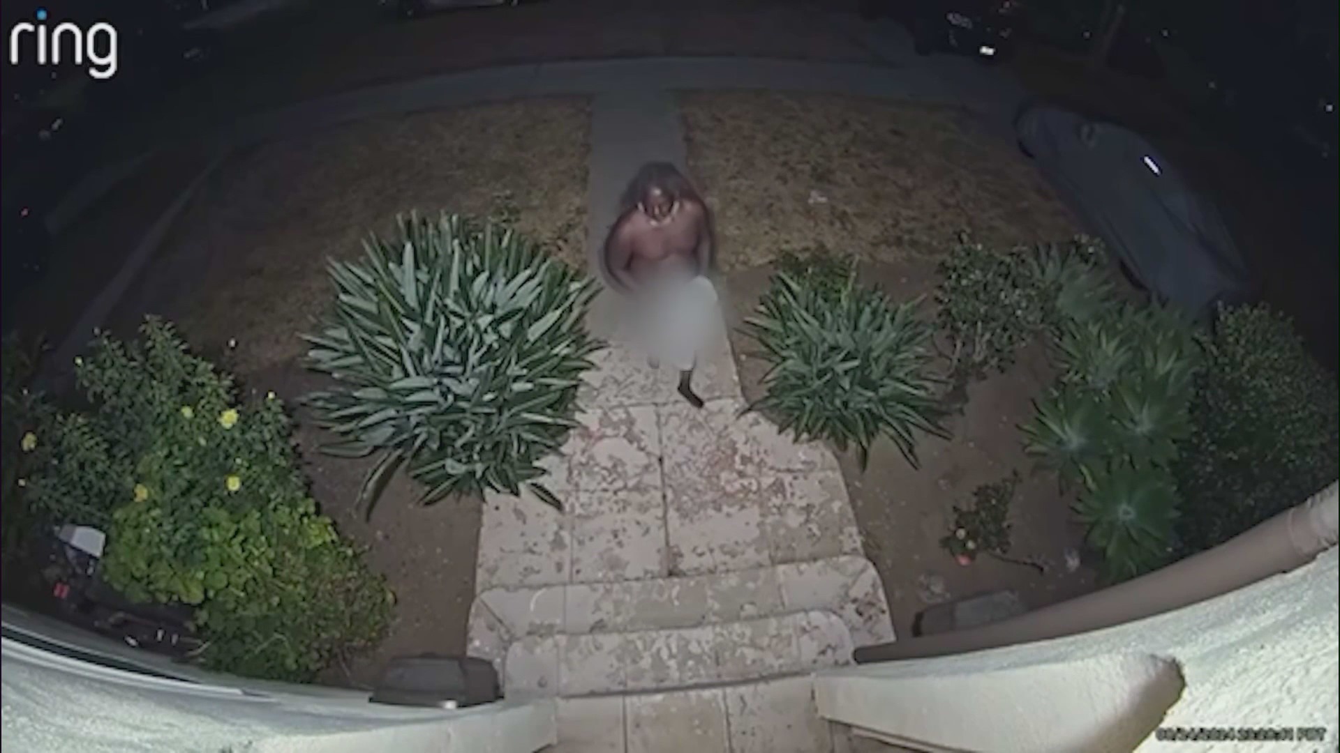 Mid-Wilshire naked man