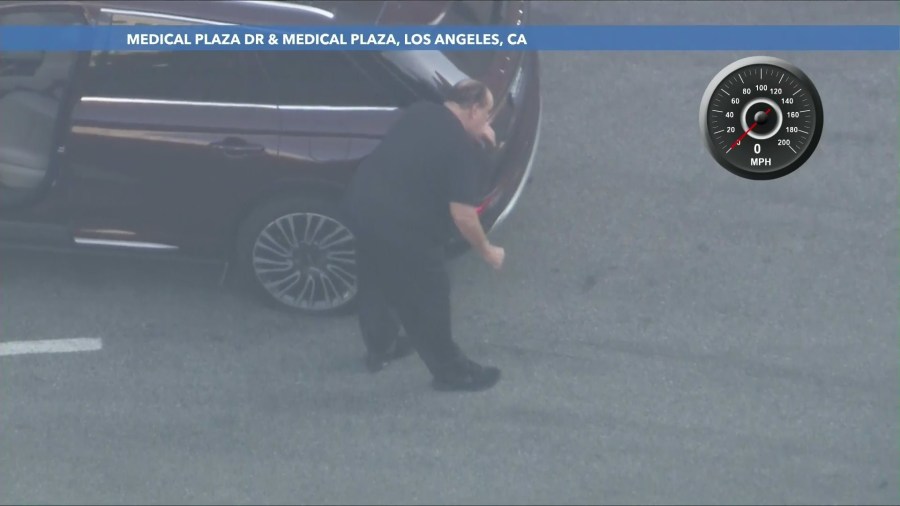 Pursuit of serial sex assault suspect