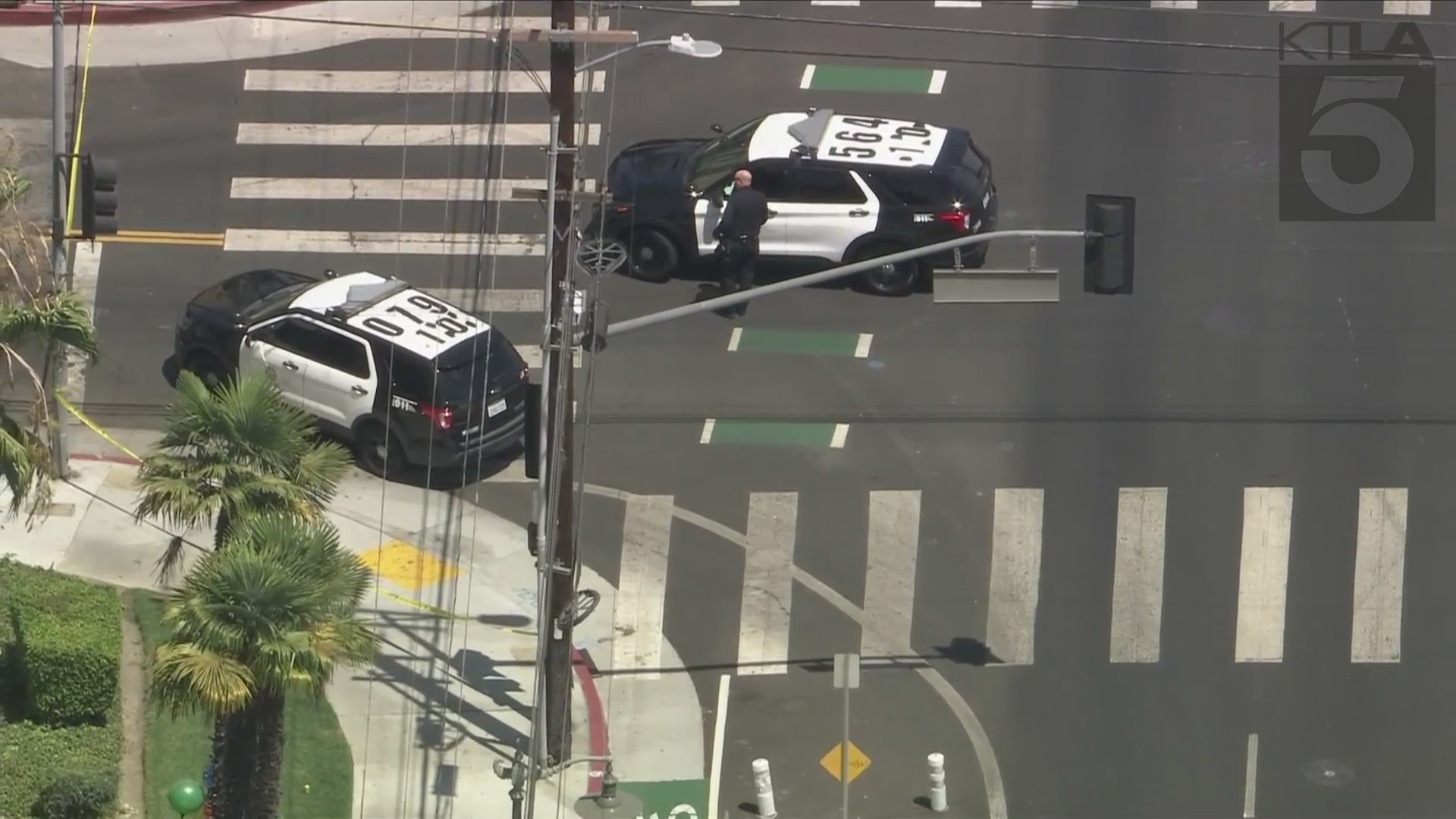 Reseda car shooting